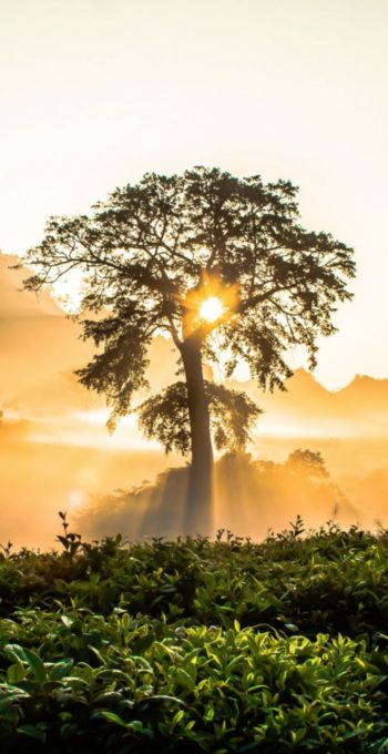 生き方と時代-初回あいさつ文-2019-01-25